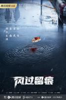 《风过留痕》电视剧免费观看全集