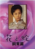 《花与蛇 饲育篇》_免费观看高清电影_高清完整视频在线