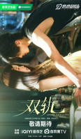 双轨电视剧在线观看全集免费高清完整版