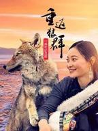 《重返狼群》10周年纪念版HD中字免费观看